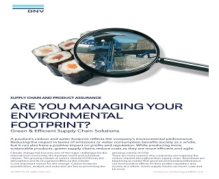 Green & Efficient Supply Chain Solutions