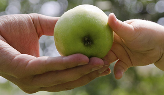 ISRS™: for the health of your business 