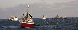 MSC Principles and Criteria for Sustainable Fishing